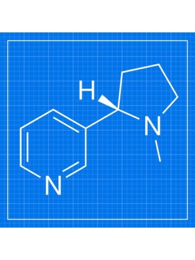 Vape Base VG50/PG50 500ml