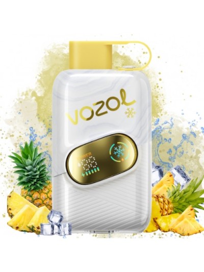 Pineapple Ice  -  Vozol Click 50K 5 %