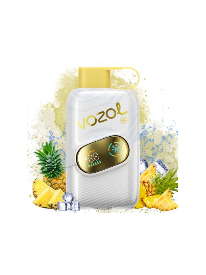 Pineapple Ice  -  Vozol Click 50K 5 %