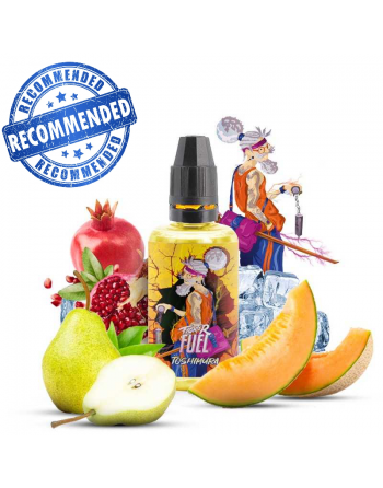 Toshimura  -  Fighter Fuel...