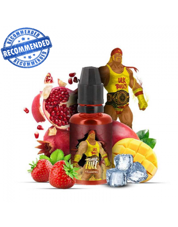 Hogano - Fighter fuel 100-ml